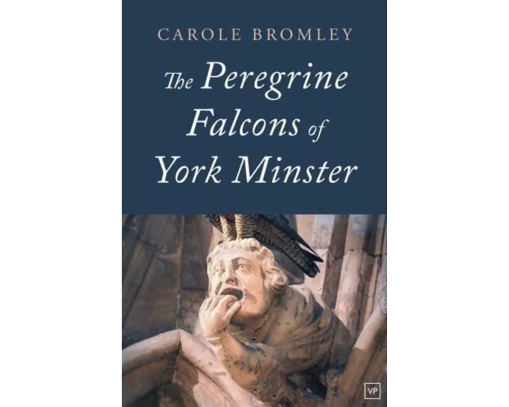 The Peregrine Falcons of York Minster