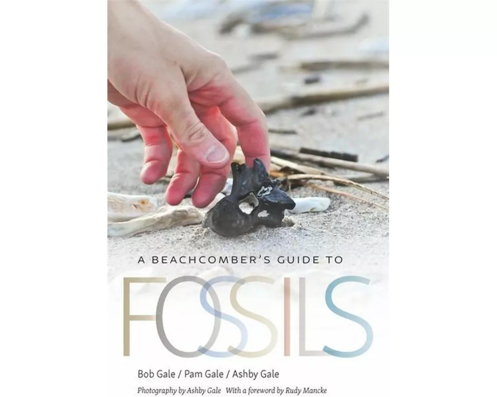 A Beachcomber's Guide to Fossils