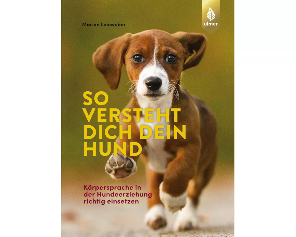 So versteht dich dein Hund