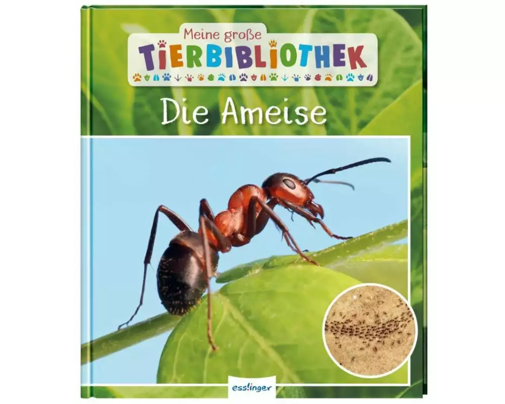 Meine große Tierbibliothek: Die Ameise