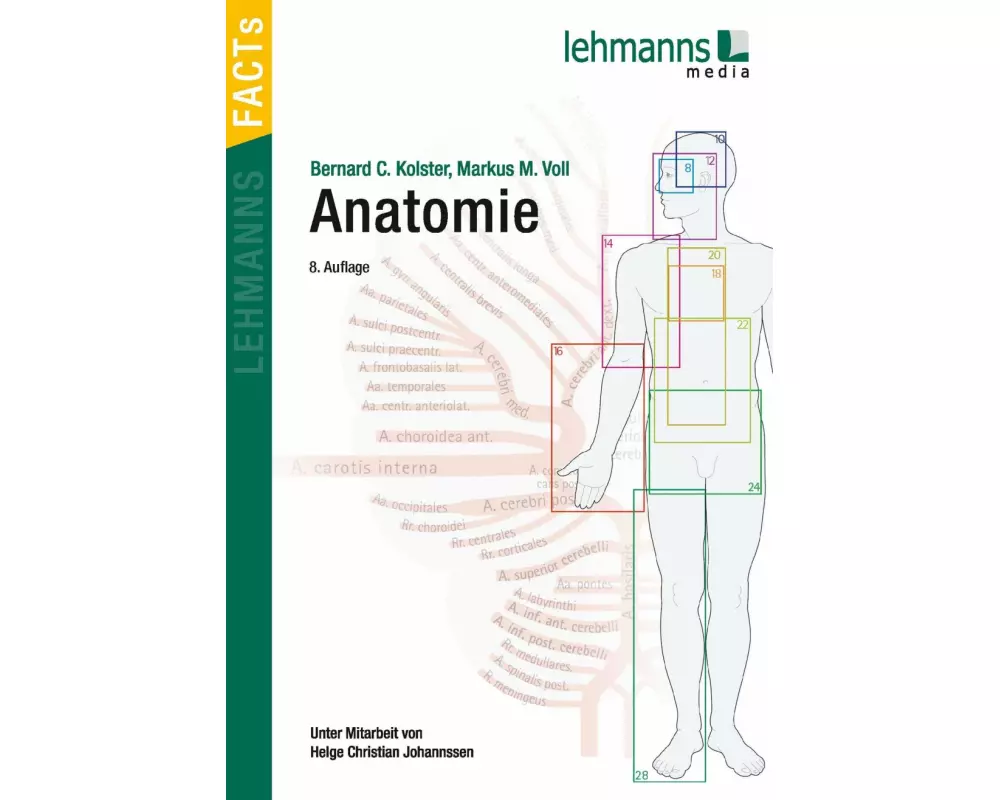 Anatomie