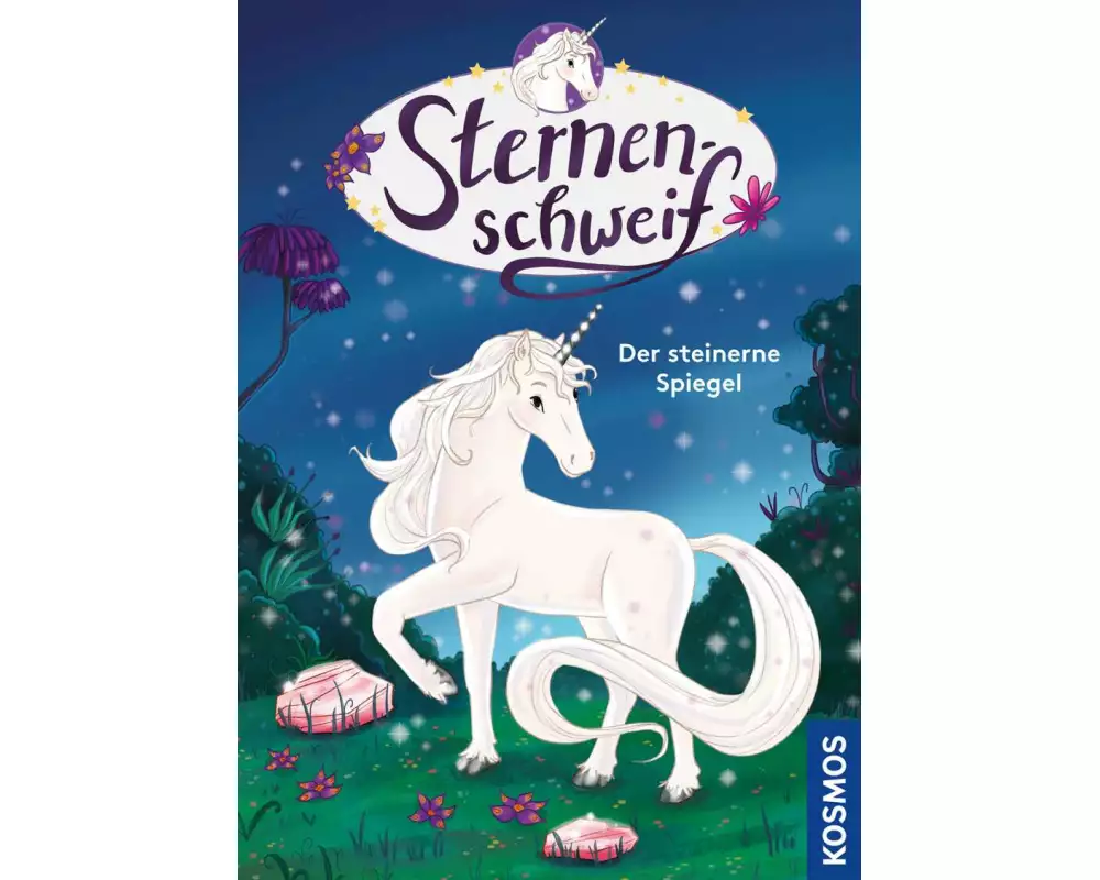 Sternenschweif, Der steinerne Spiegel