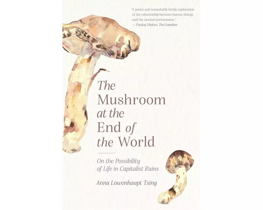 The Mushroom at the End of the World