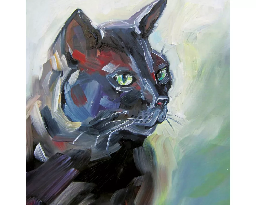 Komm Schwarzer Kater