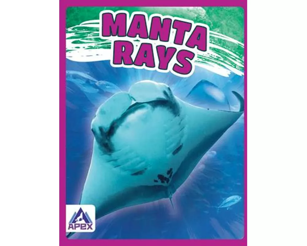 Manta Rays