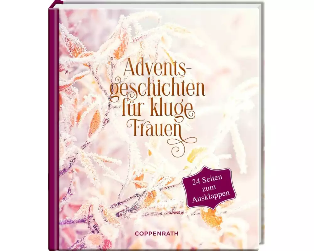 Adventsgeschichten für kluge Frauen