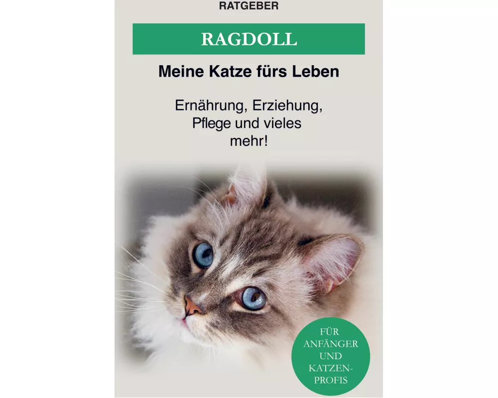 Ragdoll Katze