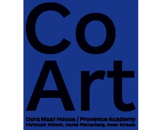 CoArt