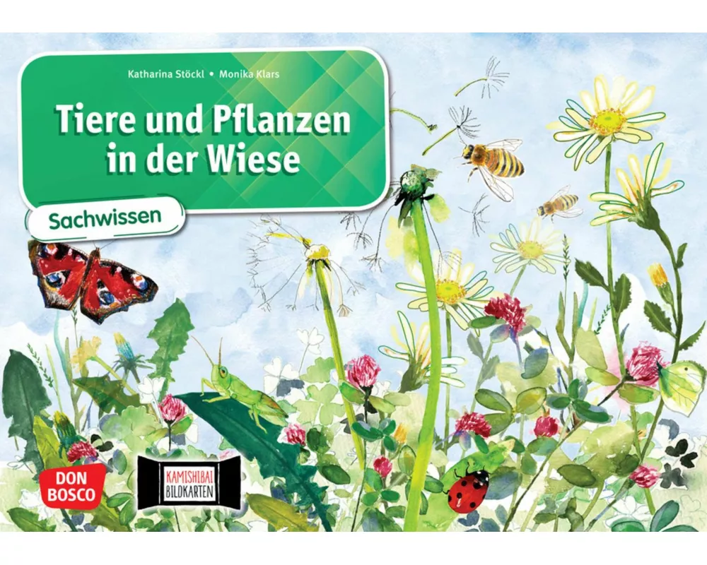Tiere und Pflanzen in der Wiese. Kamishibai Bildkartenset