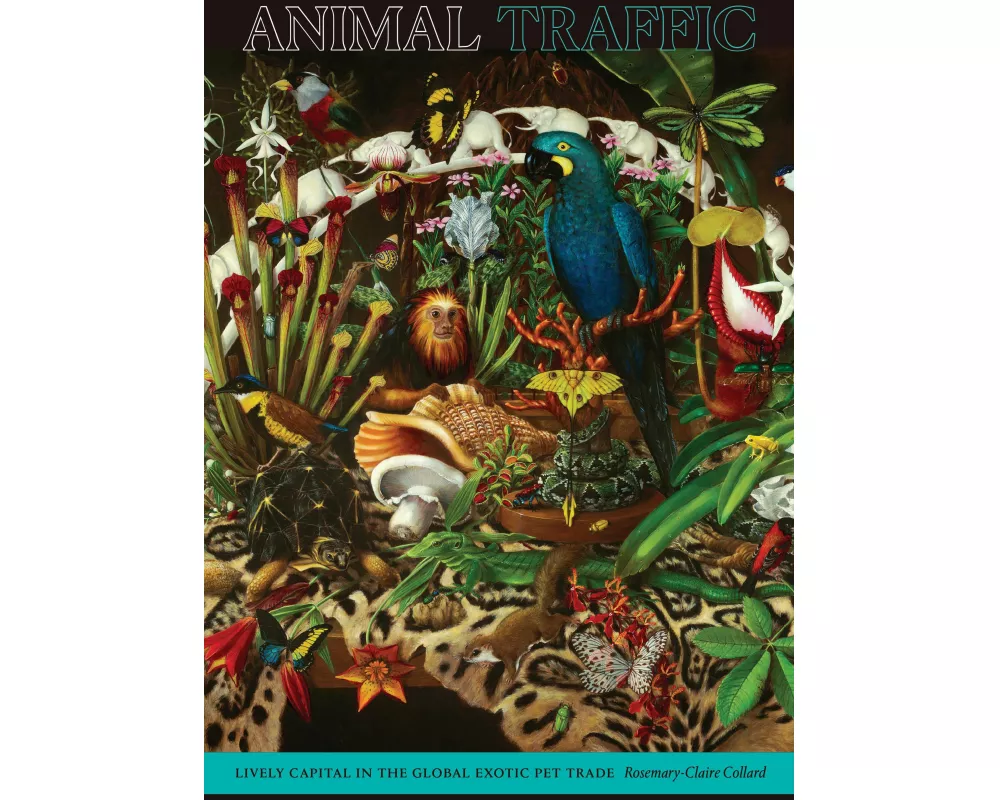 Animal Traffic