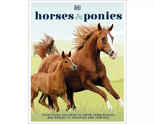 Horses & Ponies