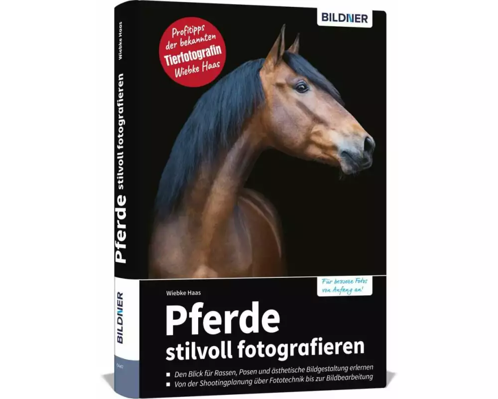 Pferde stilvoll fotografieren