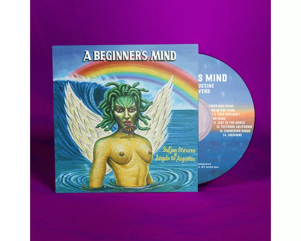 A Beginner's Mind