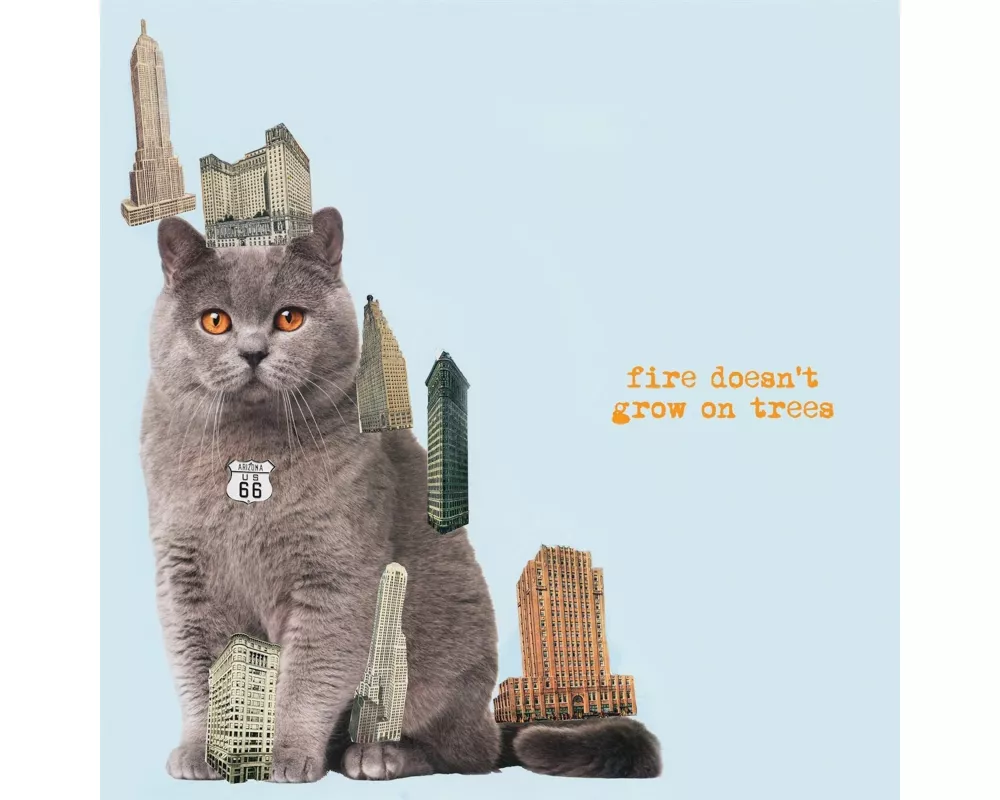 Fire Doesn't Grow On Trees