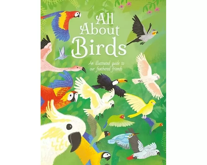 All About Birds