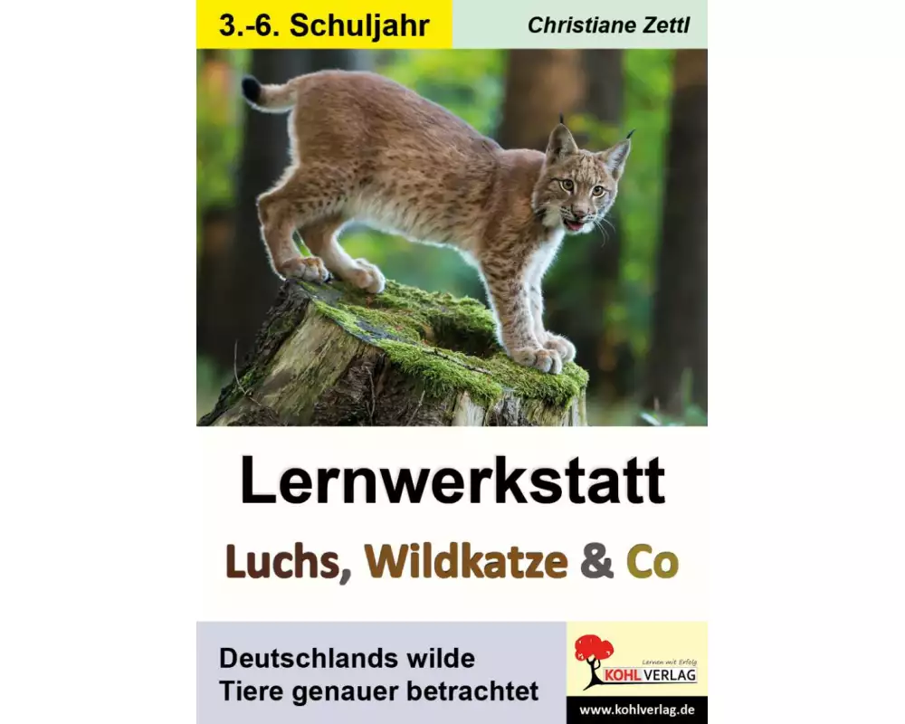 Lernwerkstatt Luchs, Wildkatze & Co