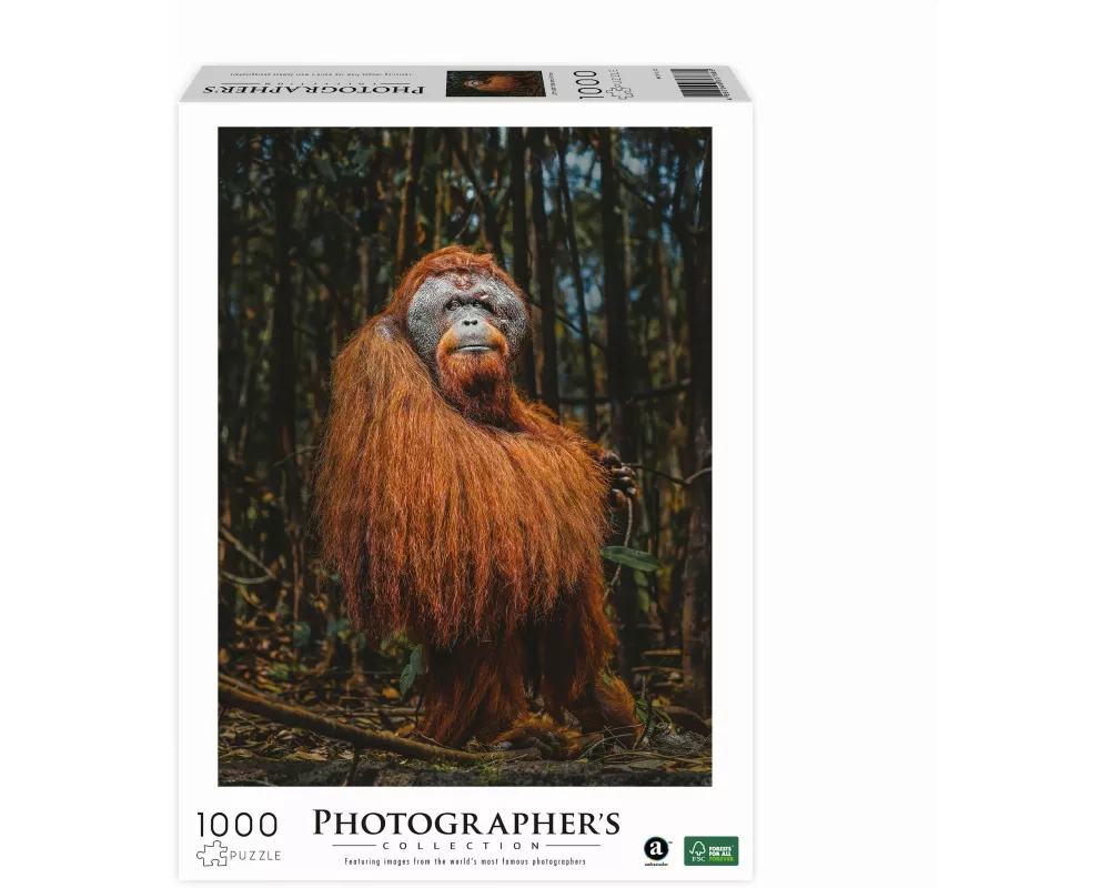 AMBASSADOR - Orang-Utan 1000 Teile (Donal Boyd)