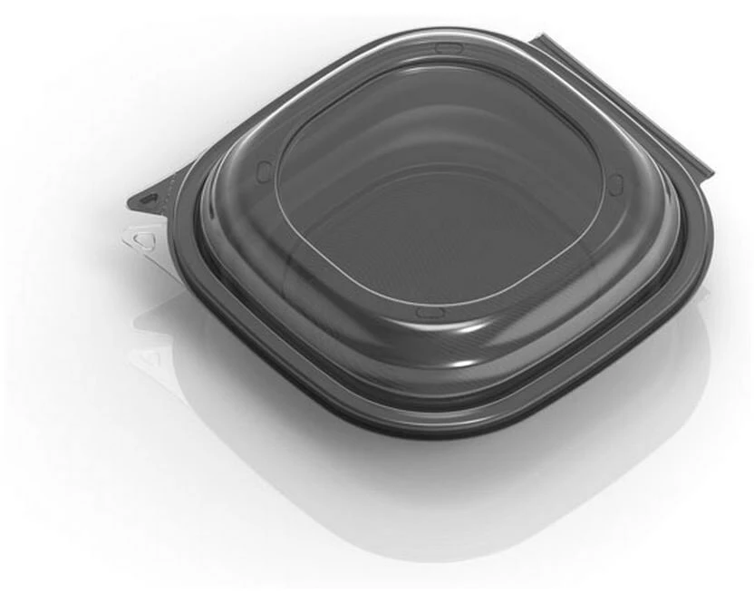 Duni Einweg-Schale Vista 120 Stück, 1480 ml