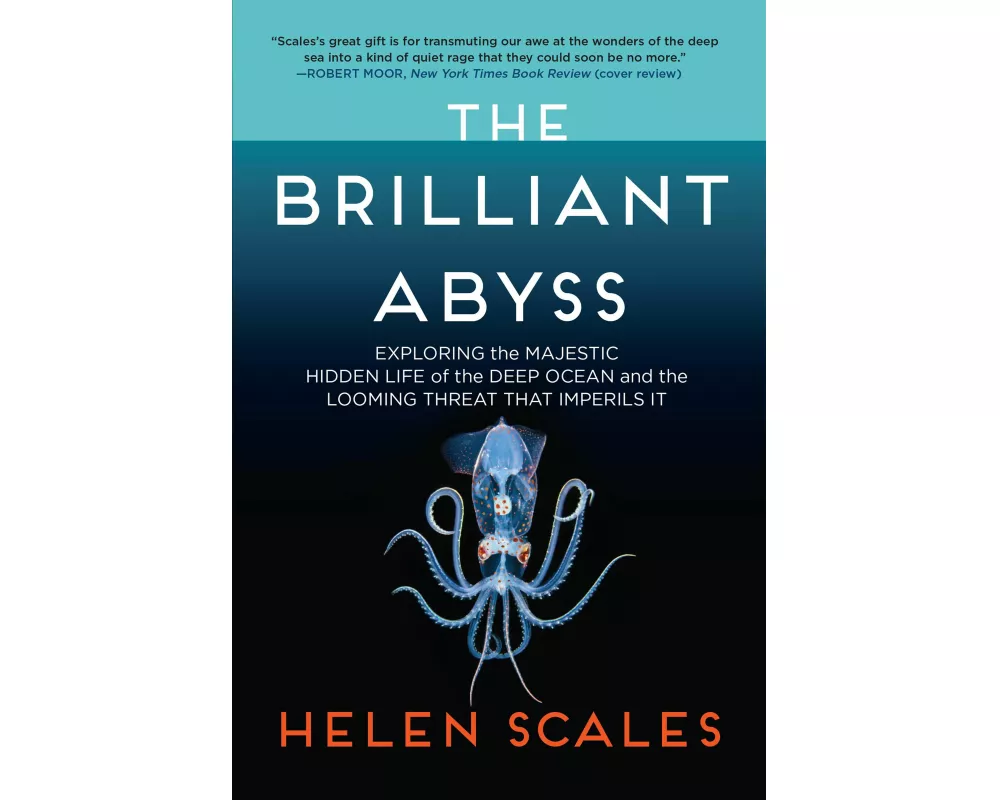 The Brilliant Abyss
