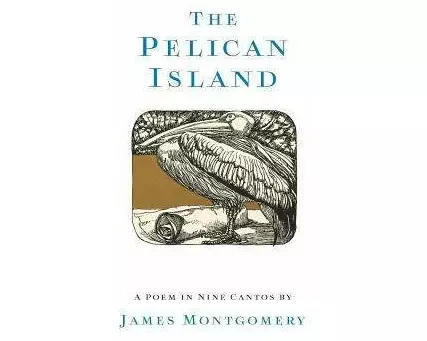 The Pelican Island (Illustrated Edition)