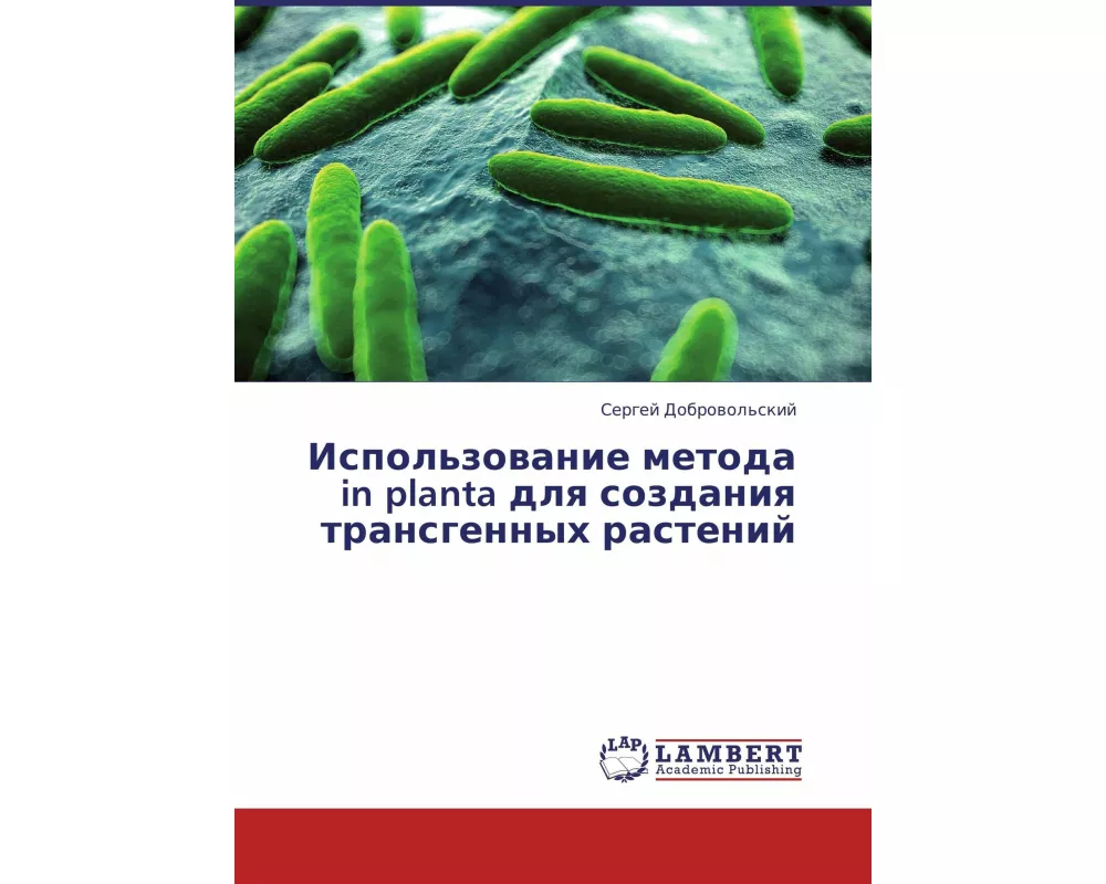 Ispol'zowanie metoda in planta dlq sozdaniq transgennyh rastenij