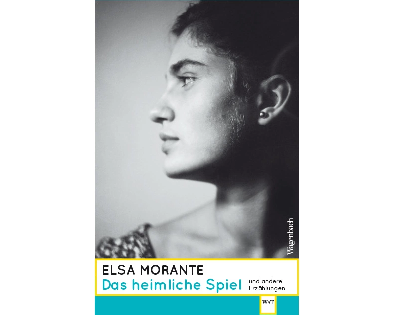 Das heimliche Spiel und andere Erzählungen