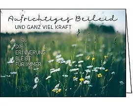 Doppelkarte. Aufrichtiges Beileid (Blumenwiese)