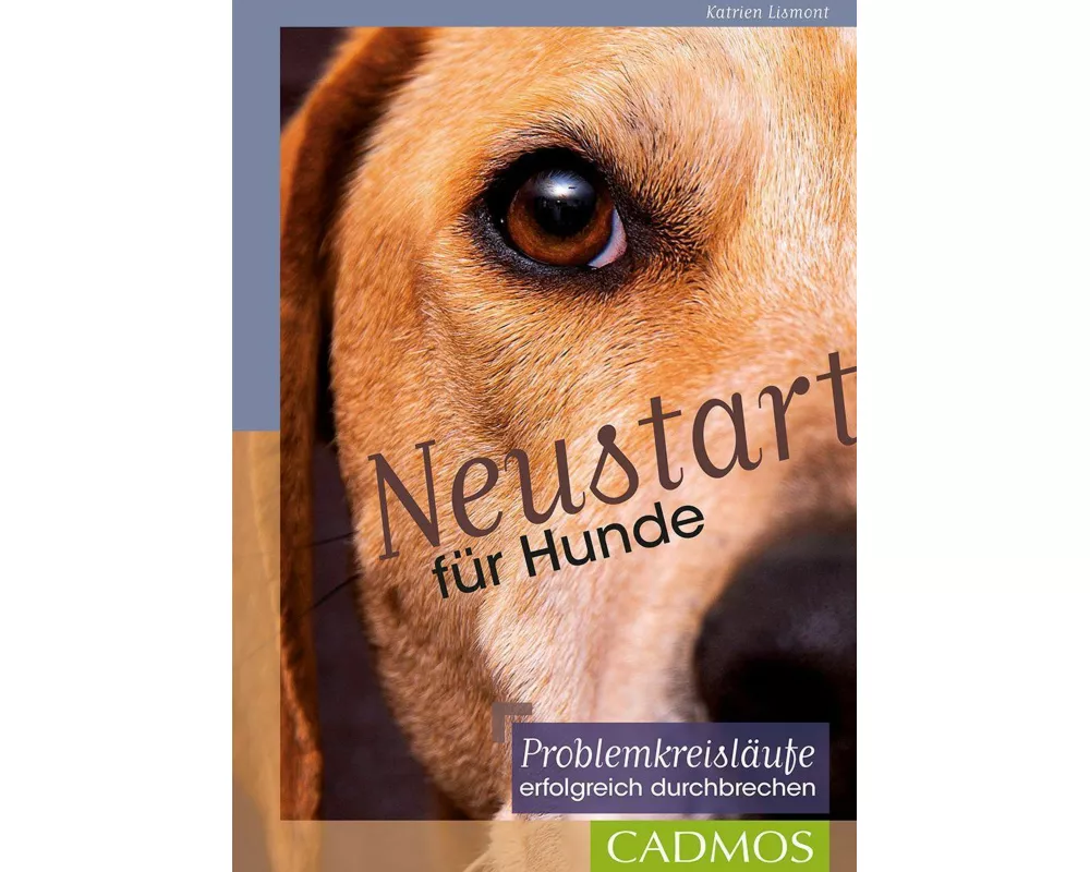 Neustart für Hunde