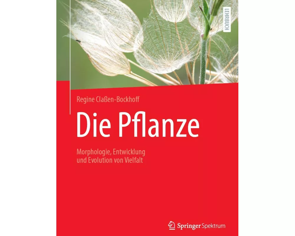 Die Pflanze