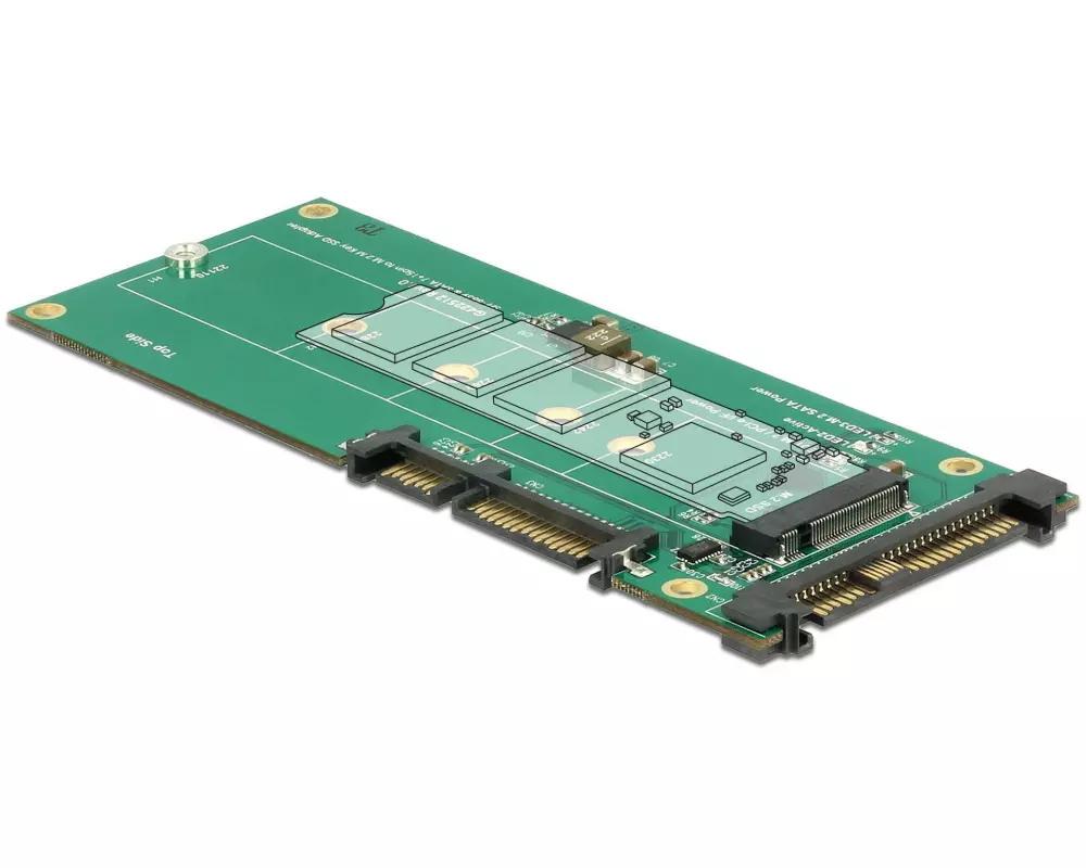 Delock Adapterplatine M.2 NVMe – U.2/SATA