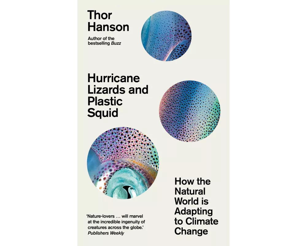 Hurricane Lizards and Plastic Squid