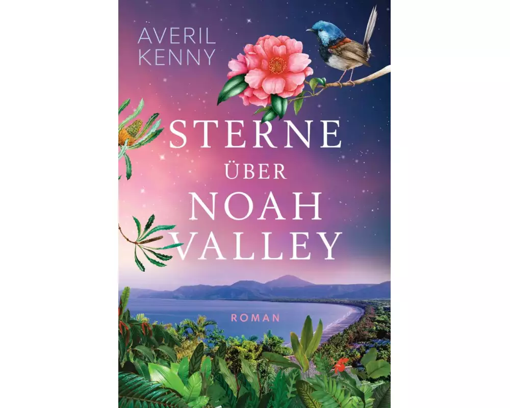 Sterne über Noah Valley