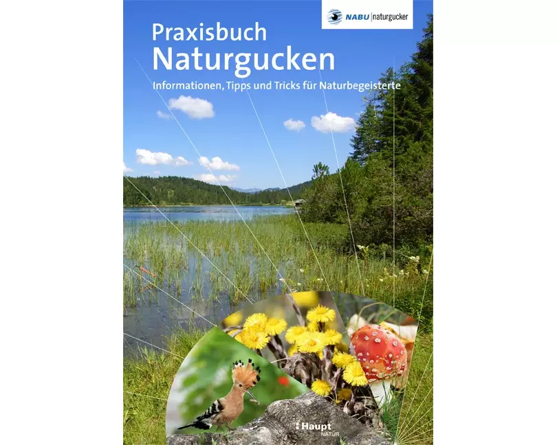 Praxisbuch Naturgucken