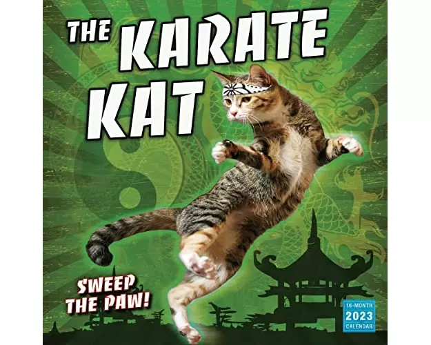 Karate Kat The