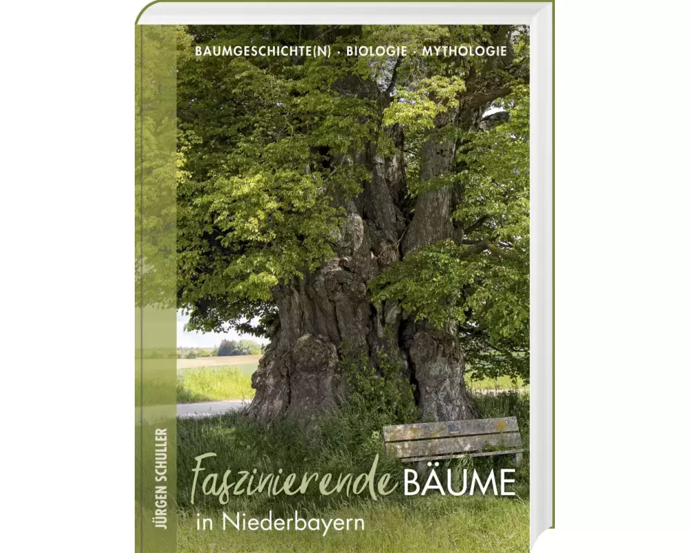 Faszinierende Bäume in Niederbayern