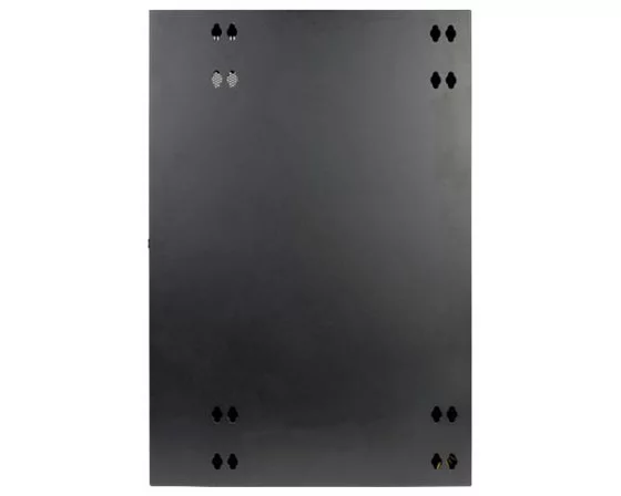 EATON TRIPPLITE SmartRack 18U, Low-Profile, Patch-Depth, Wall-Mount, Half-Height, Rack Enclosure, Hinged Back