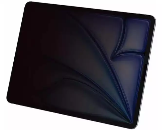 DICOTA Privacy Filter 2-way iPad Pro M4/M5 13 "