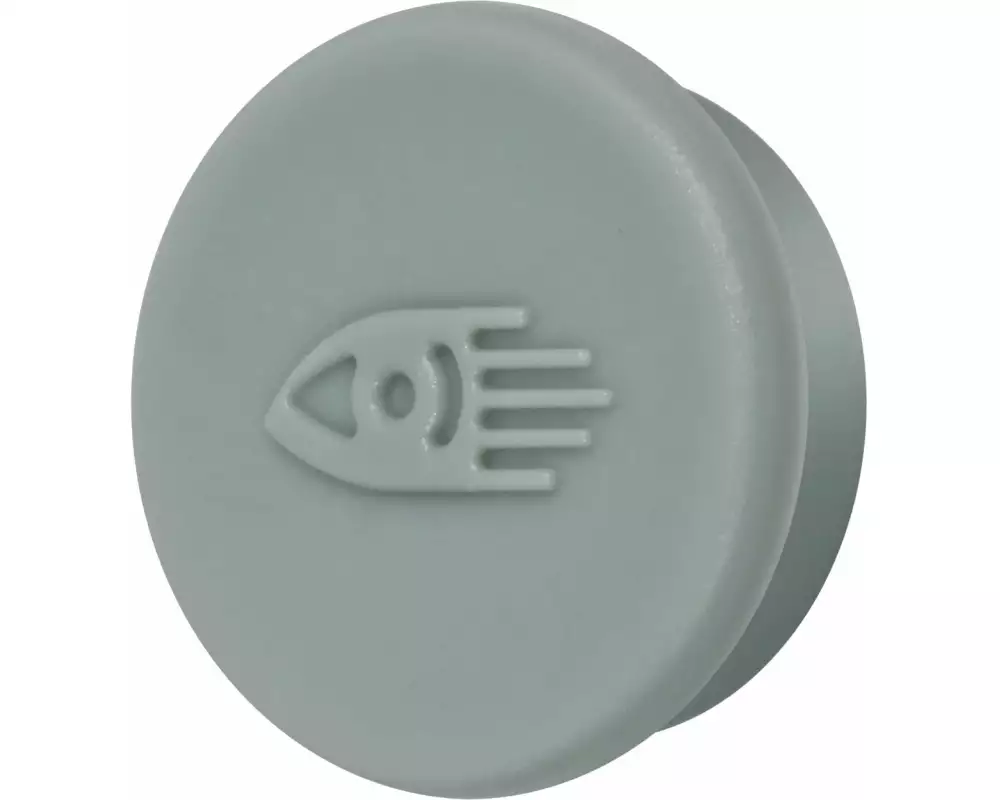 Legamaster Haftmagnet 20 mm Pastellgrün, 10 Stück