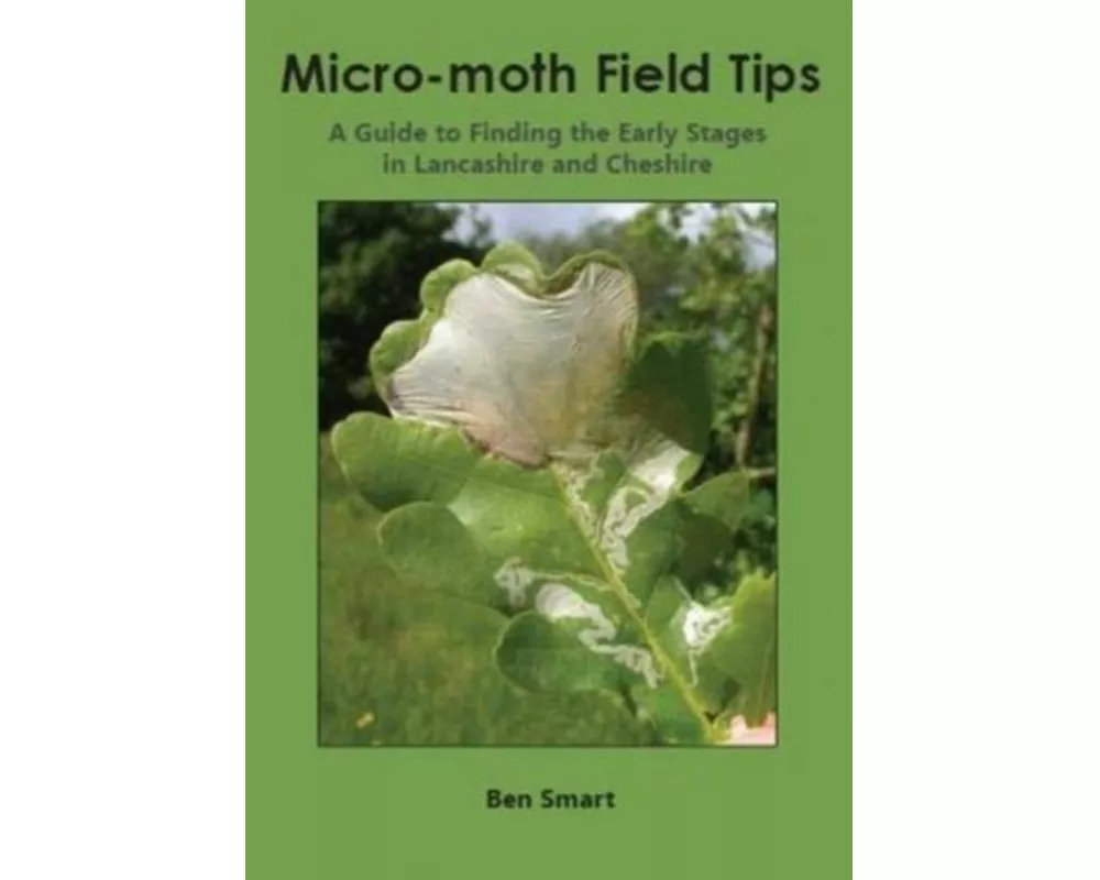 Micro-Moth Field Tips