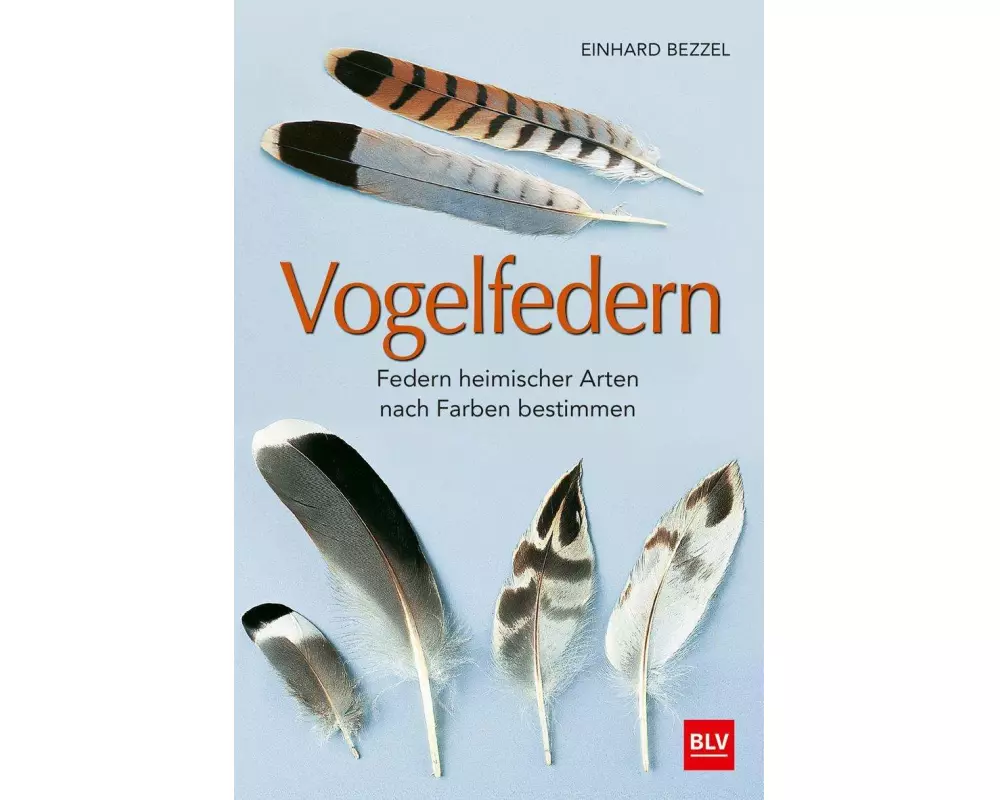 Vogelfedern