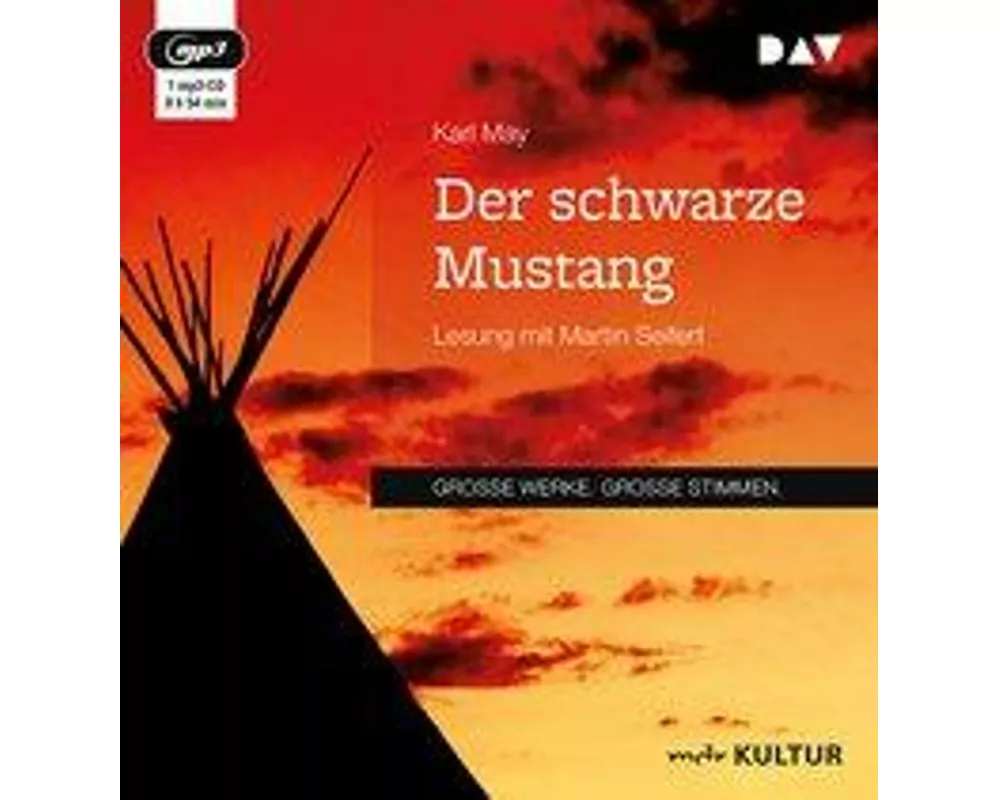 Der schwarze Mustang