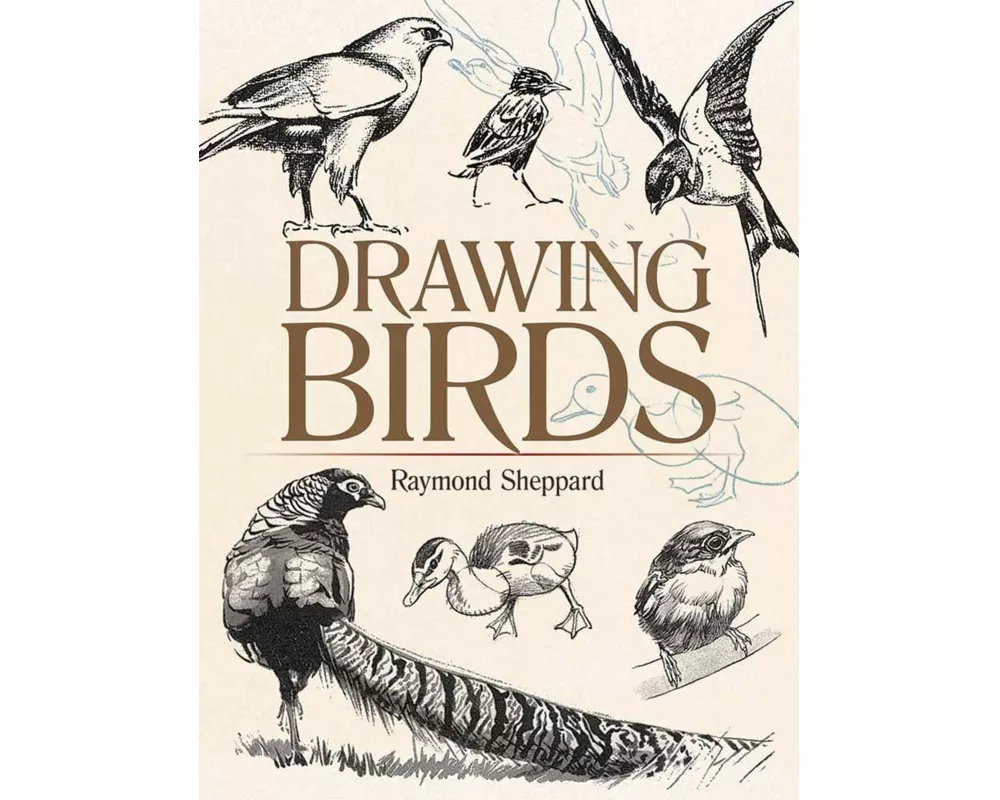 Drawing Birds