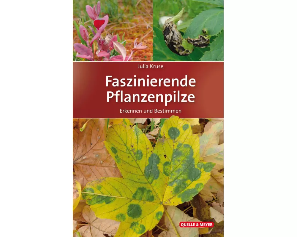 Faszinierende Pflanzenpilze