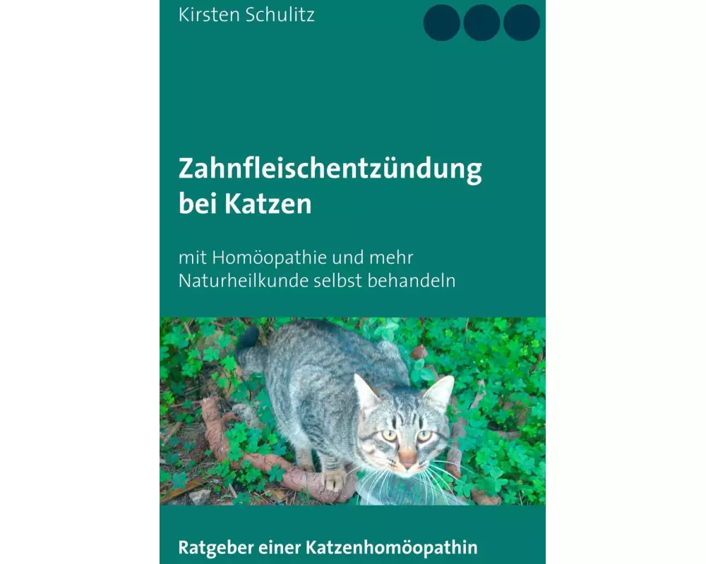 Zahnfleischentzündung bei Katzen