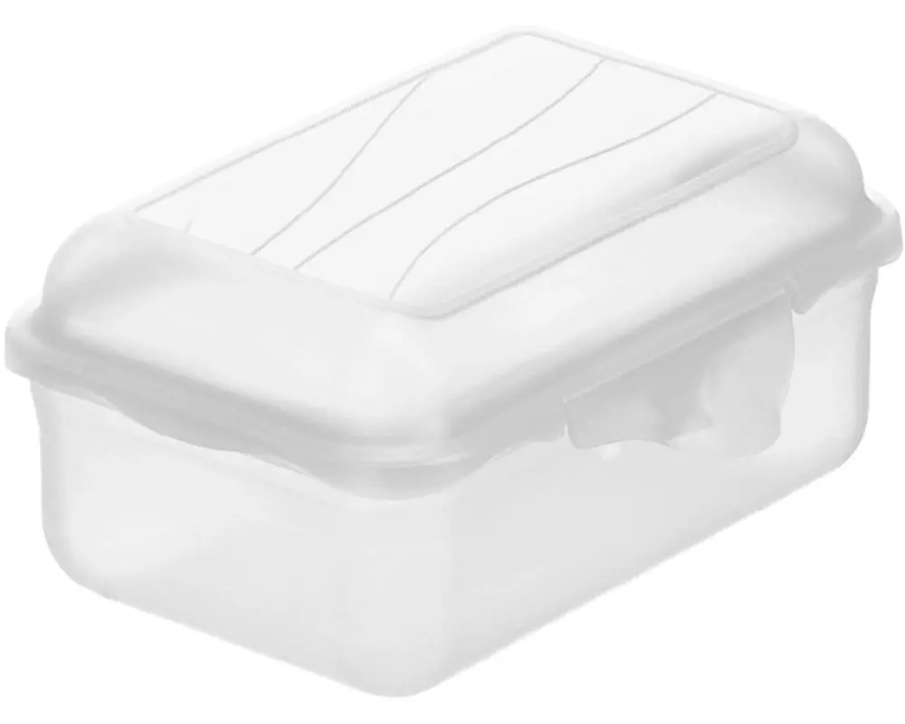 Rotho Lunchbox Fun 400 ml, Transparent