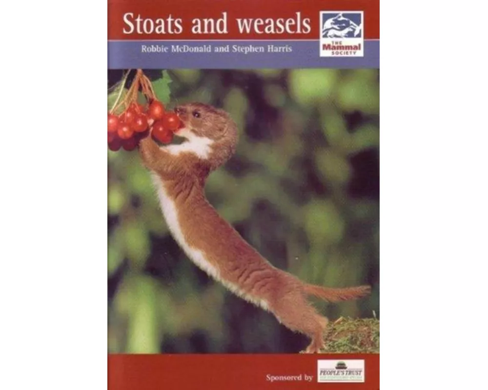 Stoats and Weasels