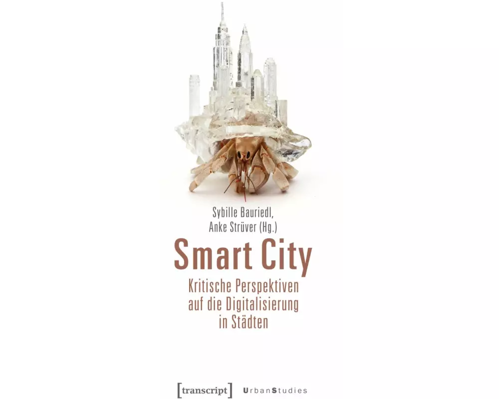 Smart City - Kritische Perspektiven auf die Digitalisierung in Städten