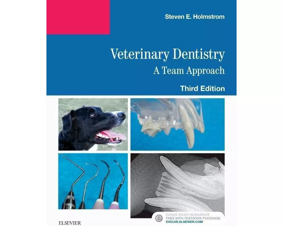 Veterinary Dentistry: A Team Approach