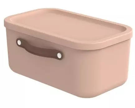 Rotho Aufbewahrungsbox Maloja 12 l, Meadow Rose