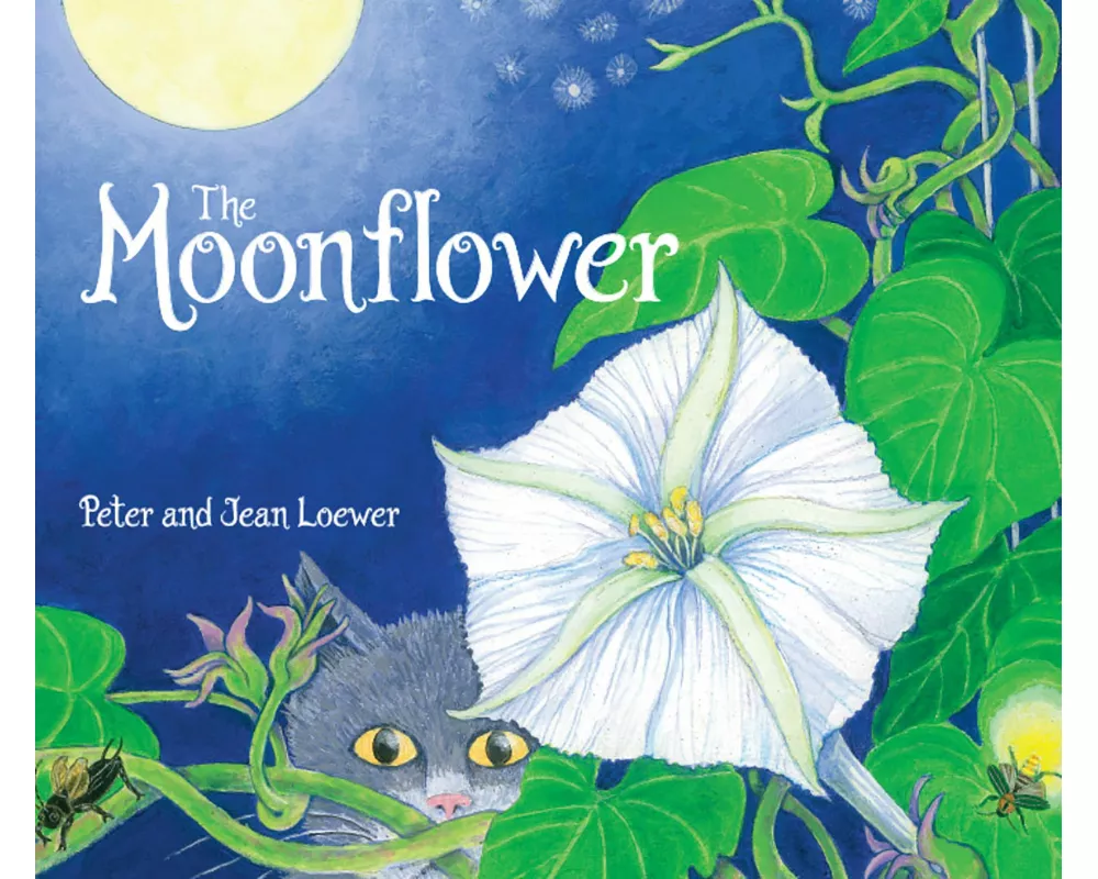 Moonflower